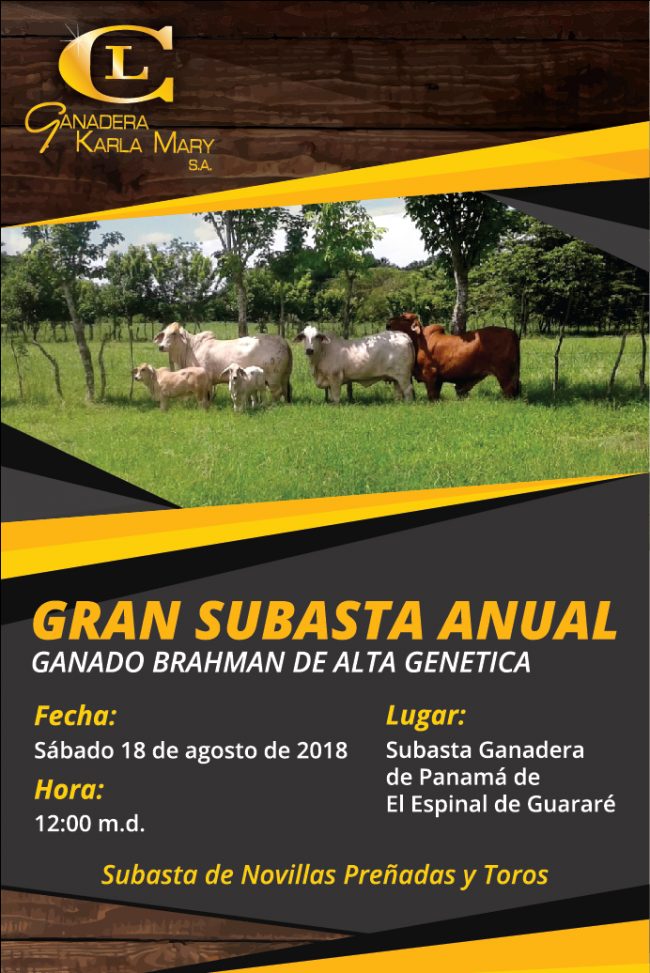 PHOTO-2018-07-06-08-46-22