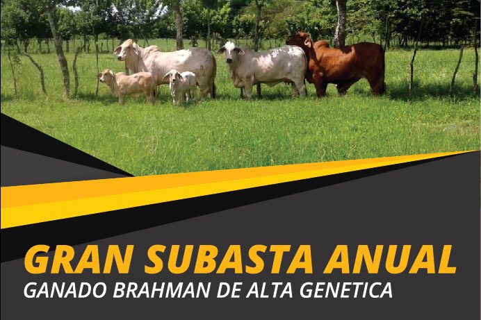 PHOTO-2018-07-06-08-46-22