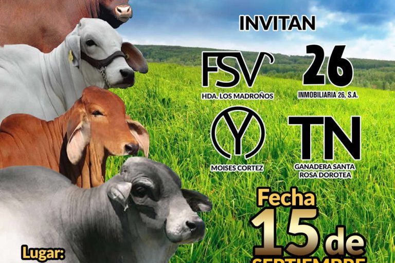 darien15092018_small