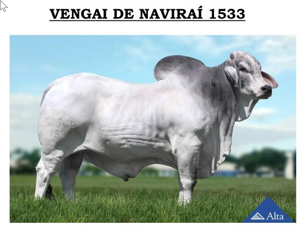 Lote 53 - Imagen 3