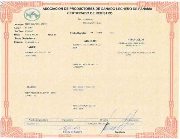 Lote 66 - Imagen 2