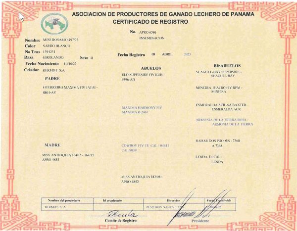 Lote 64 - Imagen 2