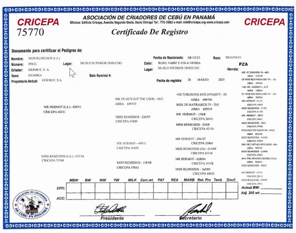 Lote 59 - Imagen 2