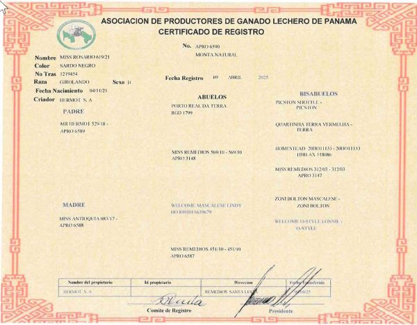 Lote 65 - Imagen 2