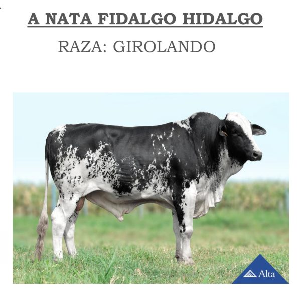 Lote 66 - Imagen 3