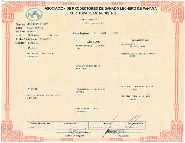 Lote 61 - Imagen 2