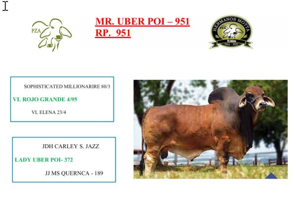 Lote 57 - Imagen 3
